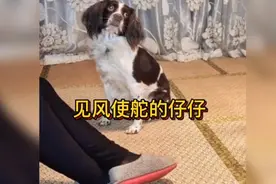 妈妈问仔仔一个问题，仔仔见风使舵回答，差点得罪了爸爸视频封面