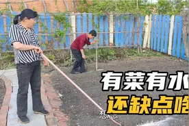 小园里种了十几种菜，黄瓜香把地规划的井井有条，生活是自己的！视频封面