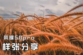 荣耀50pro样张分享：一亿像素，方向是对还是错？！视频封面