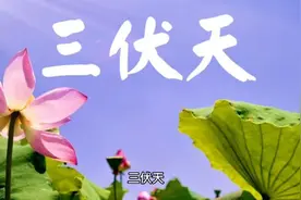 三伏天的来历与命名视频封面