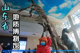 山东省地质博物馆，体验恐龙化石的博物馆奇妙夜视频封面