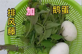 排风藤加鹅蛋的正确吃法，农村八十岁的老奶奶都是这样做的。