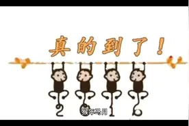 “猴年马月”释义视频封面
