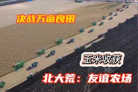 北大荒，友谊农场，决战万亩良田之玉米收获！视频封面