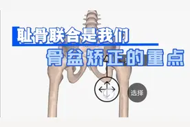 耻骨联合是我们骨盆矫正的重点部位，孙老师讲耻骨