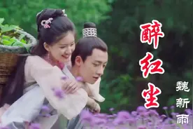 魏新雨一首《醉红尘》甜美的声音太好听了，满满深情画面唯美