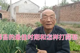 打蒜苔早了晚了都会影响蒜头膨大，怎样判断最佳时间很重要。视频封面