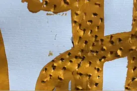 解读佛字视频封面