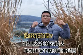 从1400多公里外的云南昭通搬到湖北荆门农村定居，我的选择对吗？视频封面