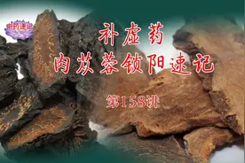 中药速记第158讲  补虚药之补阳药  肉苁蓉与锁阳速记视频封面