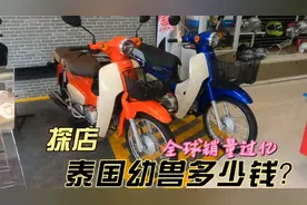 探店，泰国本田幼兽卖多少钱？视频封面