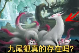 九尾狐真的存在吗？视频封面