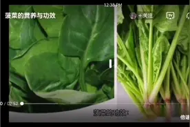 菠菜最新发现的功效视频封面