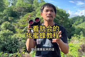 新手一看就会的望远镜找蜜蜂教程 ，新手朋友一定要收藏起来！