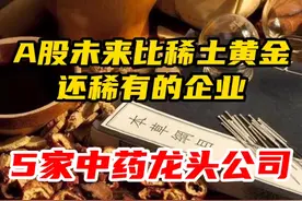 5家中药龙头公司！视频封面