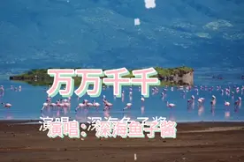 新人冲17000需要你的帮助，互粉，完播，弹幕，强力推荐必回访视频封面