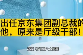 出任京东集团副总裁的他，原来是厅级干部！视频封面