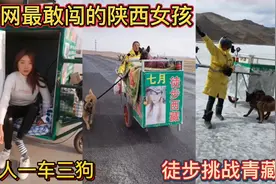 全网最敢闯的陕西女孩！一人一车三狗，徒步挑战青藏线！视频封面