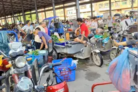 广州市白云区江高镇江村蔬菜批发市场摆摊实录