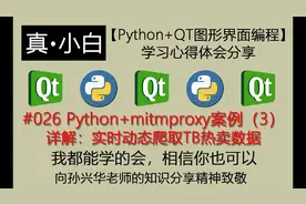 220211#026 Python+mitmproxy案例详解：实时动态爬取TB热卖数据