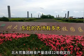 很多人真的不知道东北的农场到底有多大，北大荒种出了多少粮食视频封面