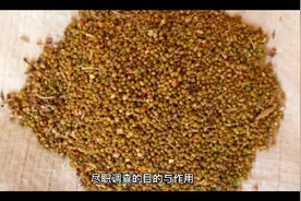 尽职调查的目的和作用视频封面