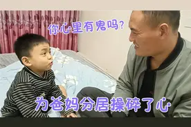 爸妈分居愁坏了儿子，弄巧成拙办了坏事，网友:妥妥的搅屎棍一枚视频封面