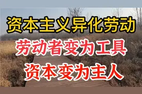 资本主义异化劳动，劳动者变为工具人，资本变为主人视频封面
