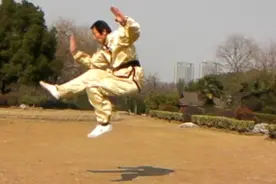 少林罗汉十八手。当代中国武术名家许敬光60岁时演练视频封面