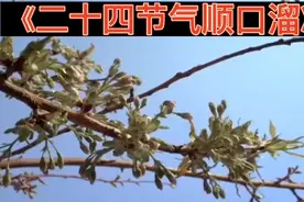 《二十四节气》顺口溜！保护文化遗产！传承民俗意蕴！视频封面