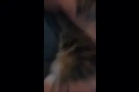 【【欧美帅哥】我 是 大 聪 明 | 笨蛋帅哥 | vinniehacker |视频封面