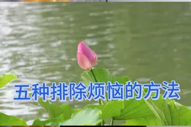 你还在被生活中各种烦恼困扰吗？我来教你五种排除烦恼的方法视频封面