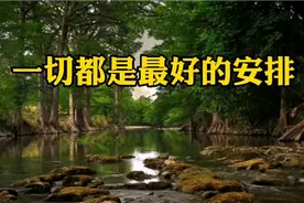 《一切都是最好的安排》