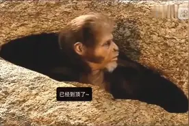 300万年前的人类视频封面