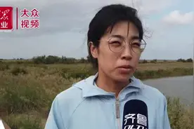 黄河入海丨黄河三角洲湿地生态优美，白鹳“不请自来”图片