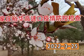 石家庄裕华高速口疫情防控常态化检查