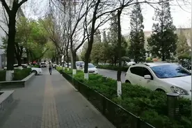 书的海洋，知识的宝库视频封面