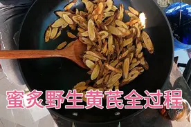 蜜炙野生黄芪全过程，方法其实很简单，一学就会哦
