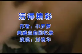 刘德华国语典藏金曲《活得精彩》