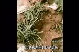 全民造假拍视频，有点理解莆田系的发家史。国人思维都相似视频封面