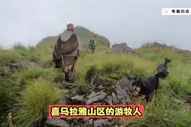 尼泊尔山区牧民搬家，徒步翻过海拔3000米高的大山，简直太神了视频封面