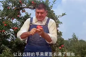 一颗巨大的陨石意外坠落 周围生物迅速疯长 诡异的事情频繁发生视频封面