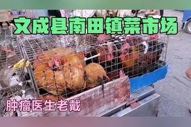 肿瘤医生老戴，上街买万宝路香烟，顺便拍南田镇菜市场。视频封面