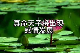 花花塔罗:真命天子飞奔而来 感情发展走向幸运快递请接收视频封面