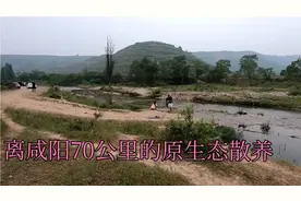 离咸阳70公里西安100公里，还有如此原生态河沟，自驾游好地方视频封面