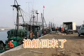 秦皇岛山海关渔港来船了，看看皮皮虾产量，今天发丰收视频封面
