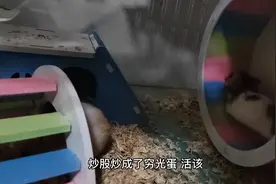 十年炒股两茫茫视频封面