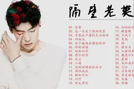 隔壁老樊30首精选歌曲合辑