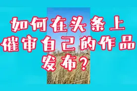 #头条使用小技巧#作品发布后一直处于审核中，怎么办？视频封面