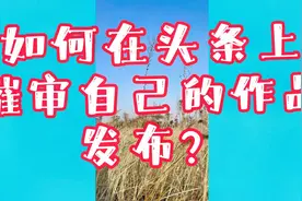 #头条使用小技巧#作品发布后一直处于审核中，怎么办？视频封面